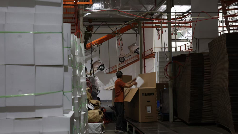 Export‑Grade Packaging Protecting DNYN EV Brand Quality